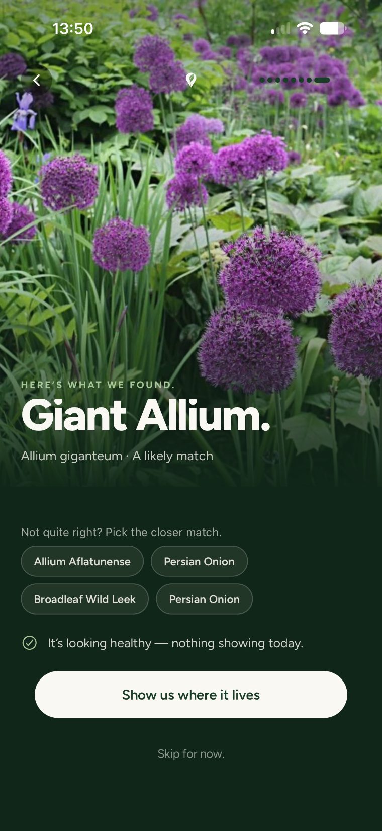 Gardn — your garden, mapped