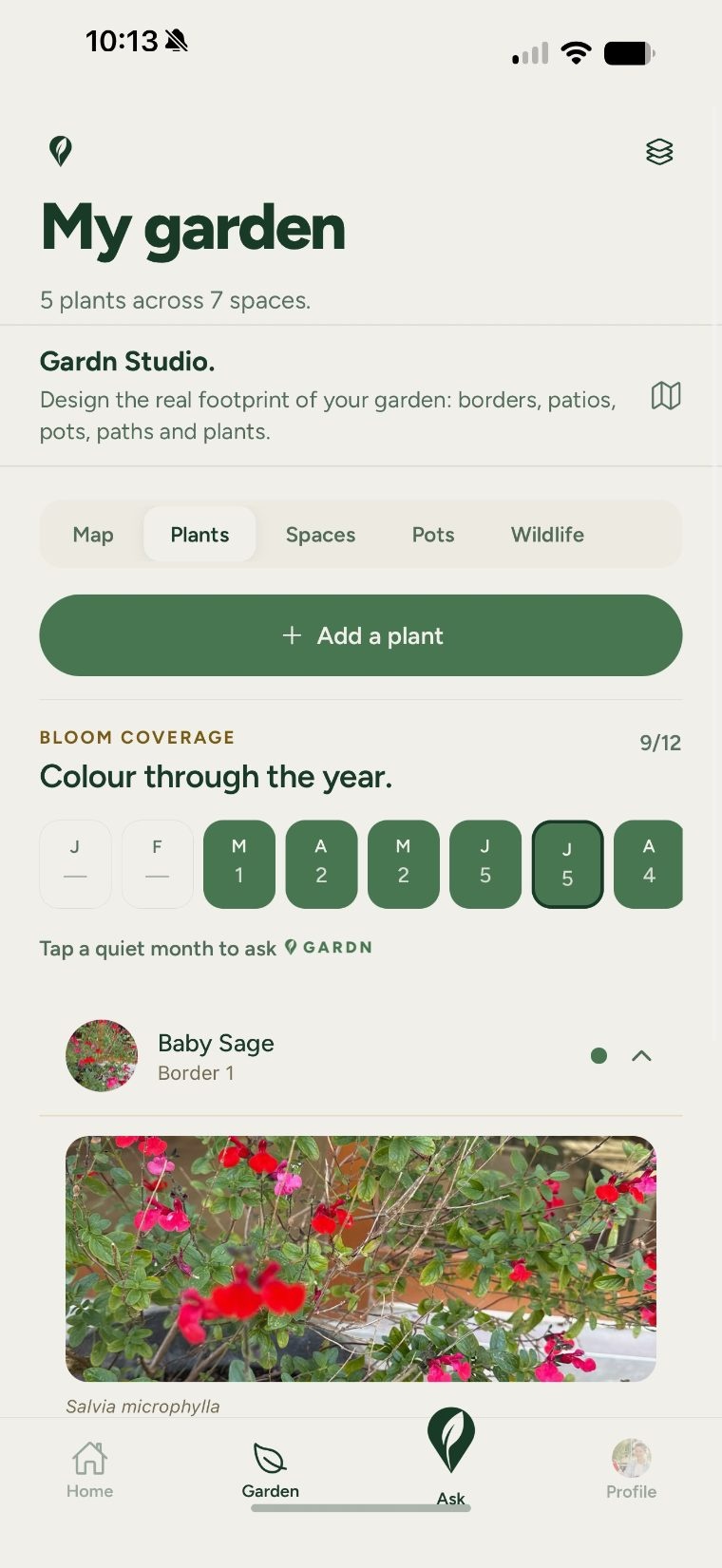 Gardn — plant identification
