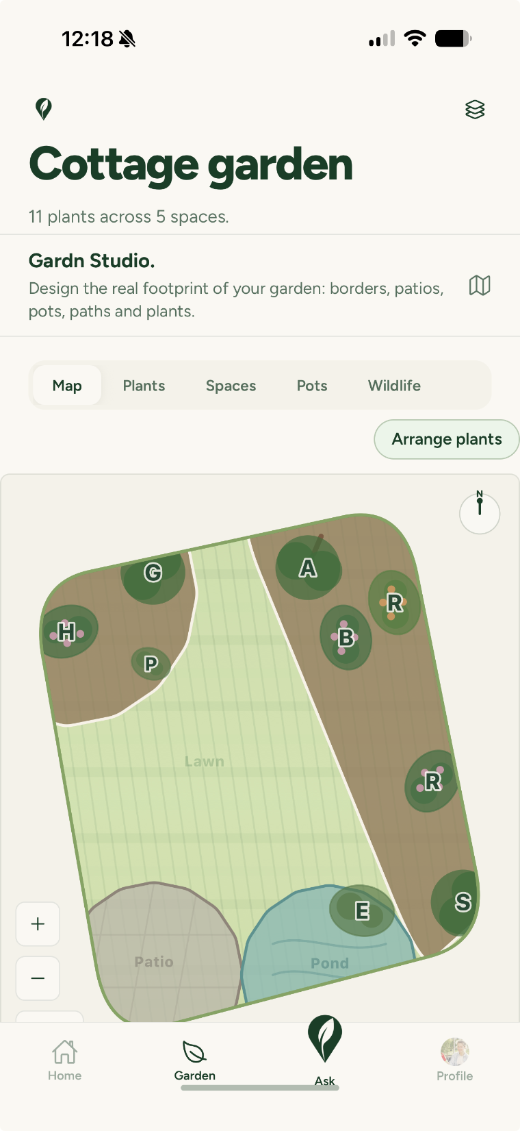Garden Studio — the Cottage garden map, every plant where it grows